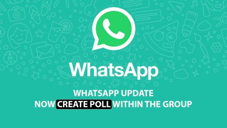 WhatsApp Group Polls Coming Soon