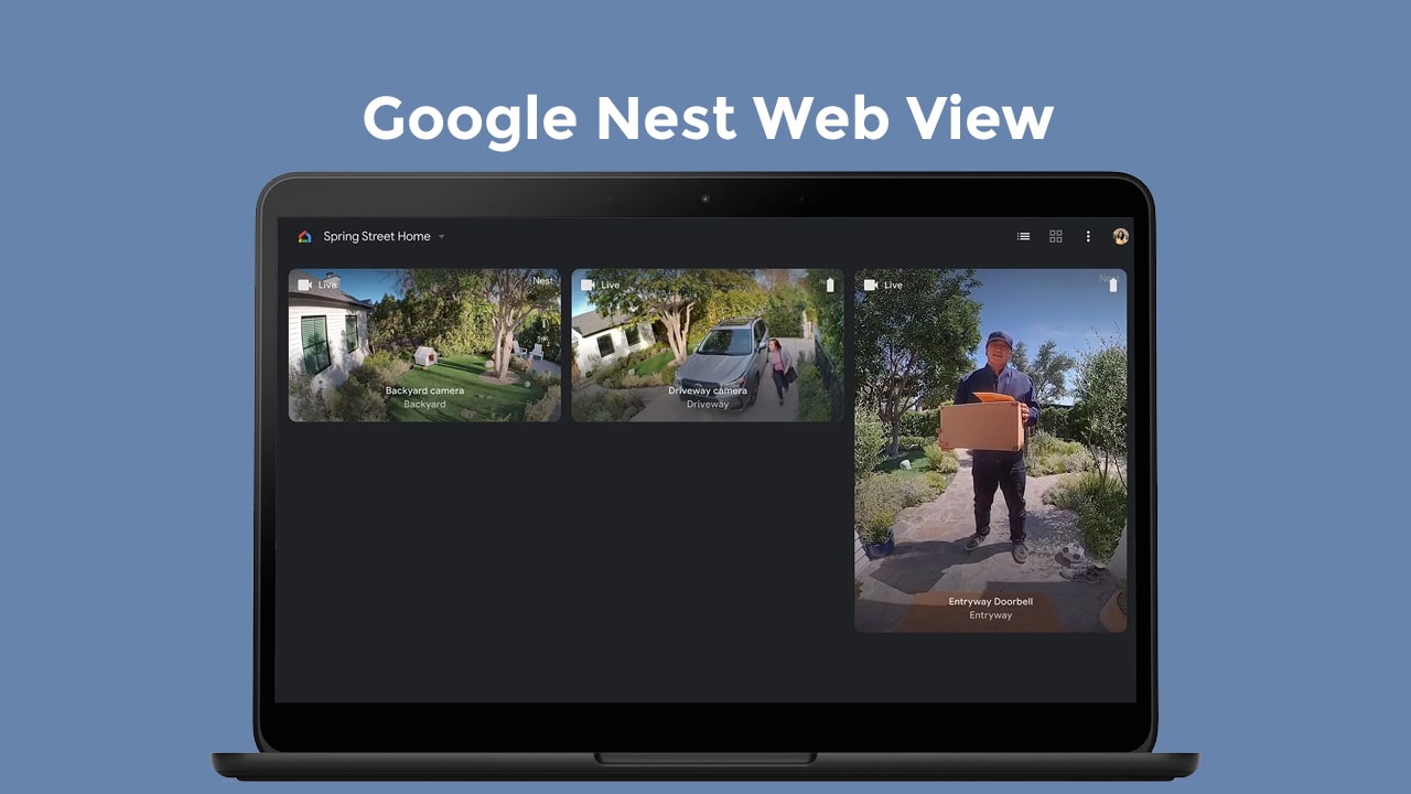 Nest-Web-View