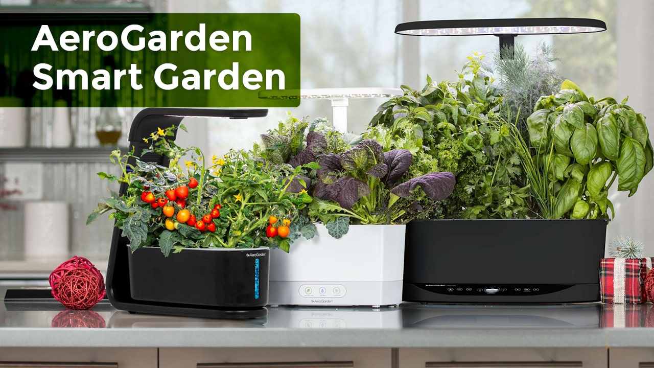 AeroGarden-Smart-Garden